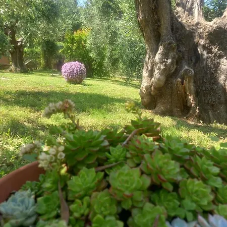 Villetta Del Monte
