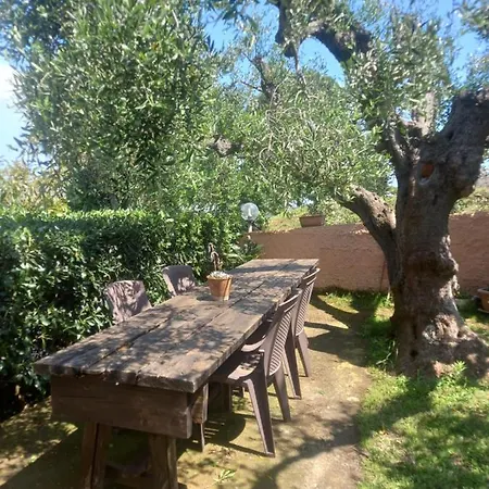 Villetta Del Monte